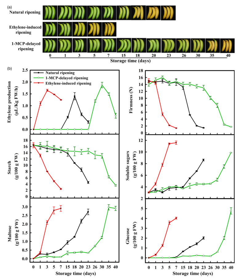 iTRAQ蛋白質(zhì)組學(xué)分析、itraq實驗服務(wù)、iTRAQ技術(shù)