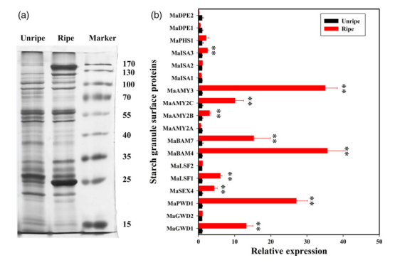 iTRAQ蛋白質(zhì)組學(xué)分析、itraq實驗服務(wù)、iTRAQ技術(shù)