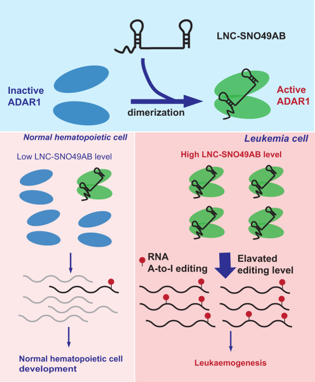 LC-MS/MS質(zhì)譜鑒定技術(shù)服務(wù)參數(shù)-價(jià)格-實(shí)驗(yàn)周期-輝駿生物全程質(zhì)譜鑒定技術(shù)服務(wù)保證