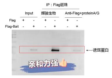 1762939293923203.jpg 5.jpg