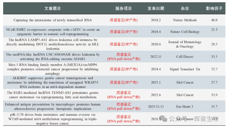 輝駿生物蛋白質(zhì)譜鑒定LC-MS/MS客戶文章（1區(qū)，IF>20）.png